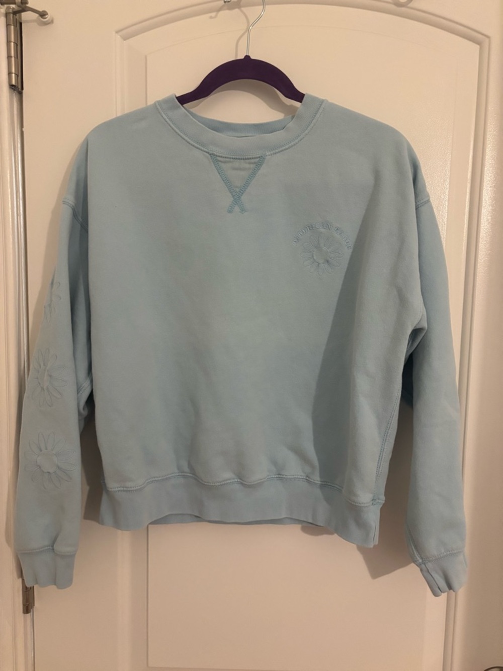 American Eagle Outfitters Light Blue Crewneck Sweatshirt